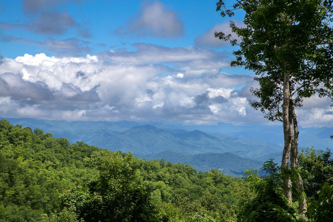 Photo of Others in Sylva