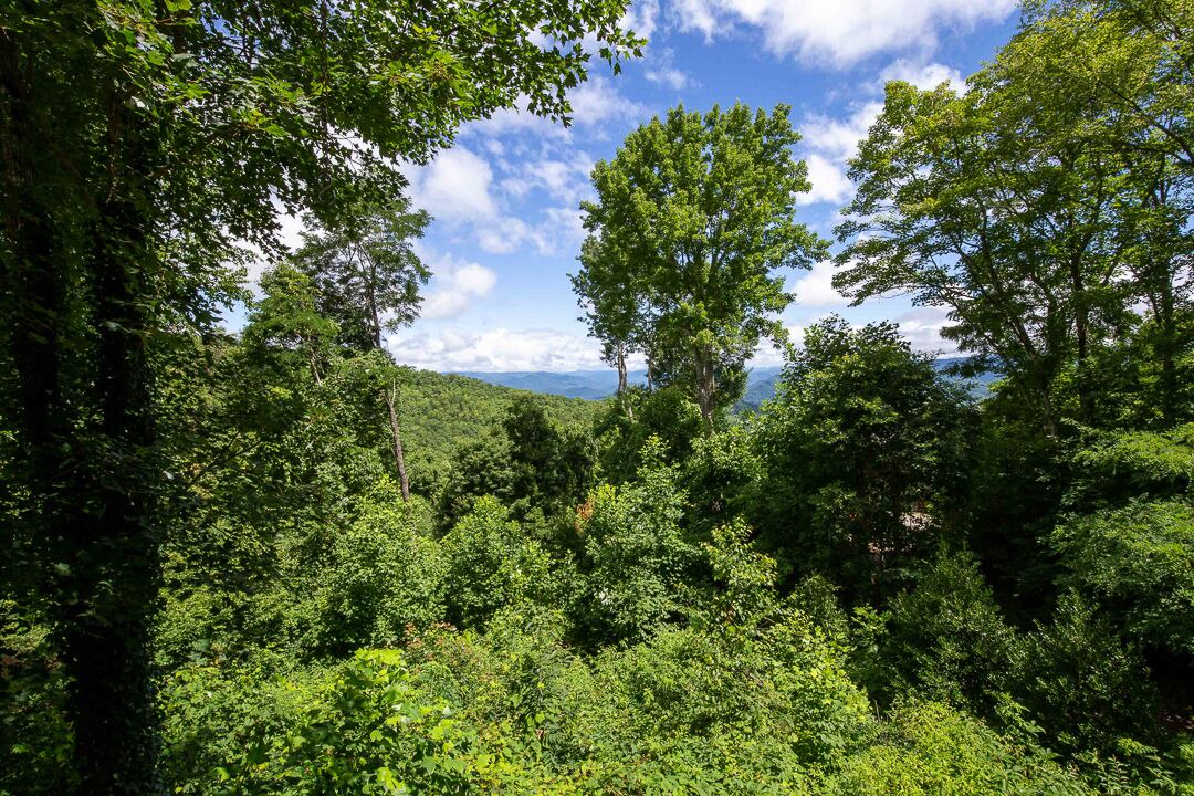 Photo of Outdoor in Sylva