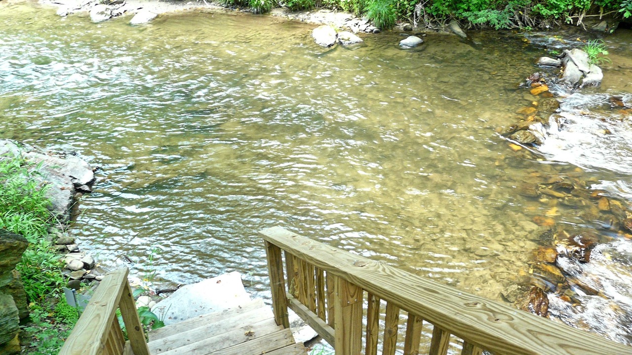 Photo of Others in Bryson City