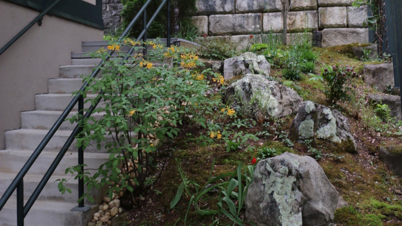 Photo of Outdoor in Asheville