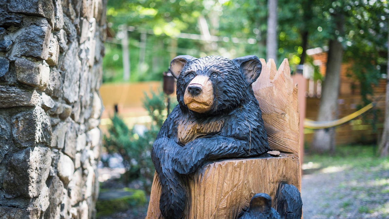 Photo of Outdoor in Maggie Valley