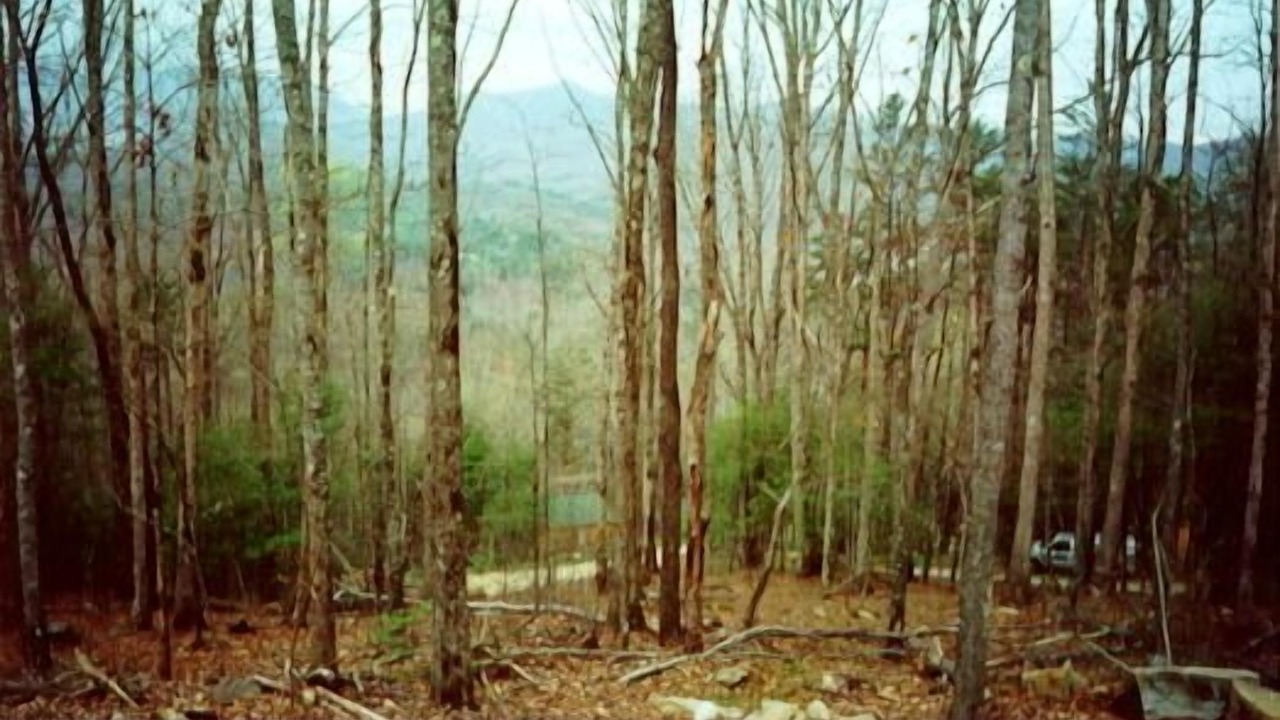 Photo of Outdoor in Bryson City