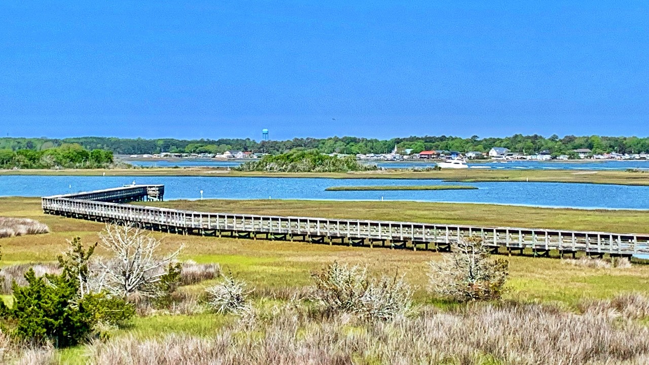 Photo of Others in Surf City