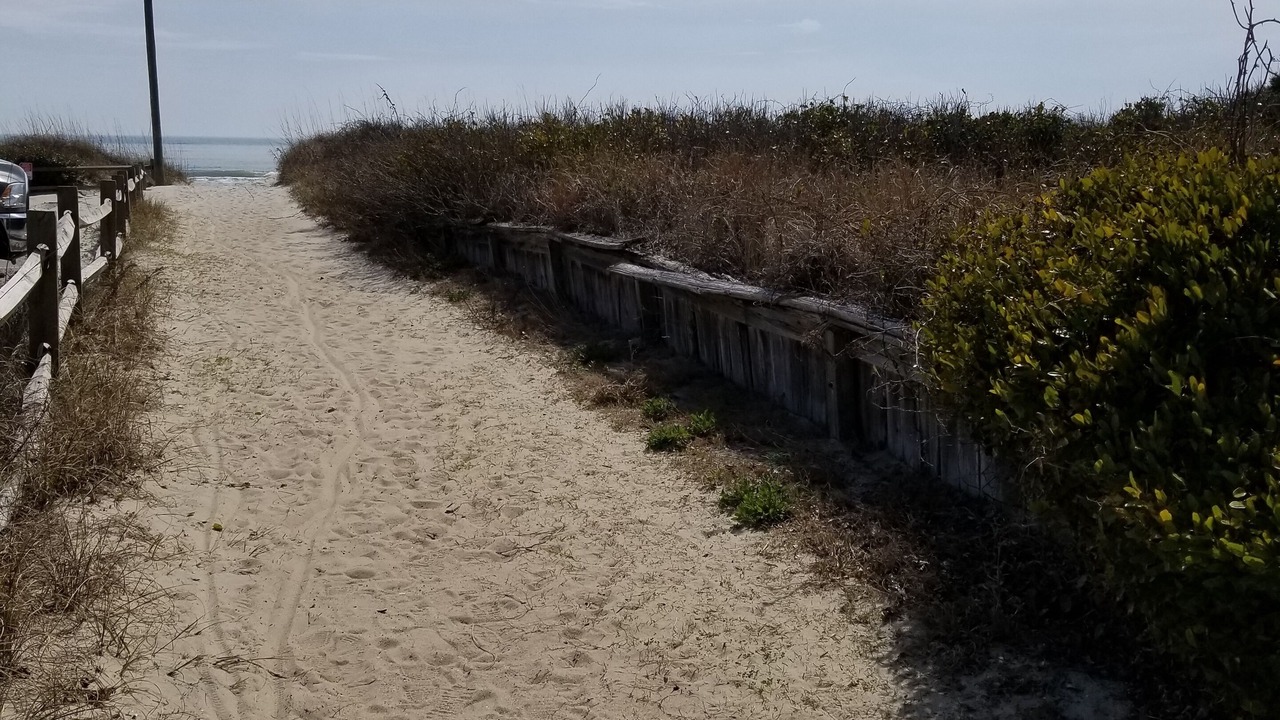 Photo of Others in Atlantic Beach