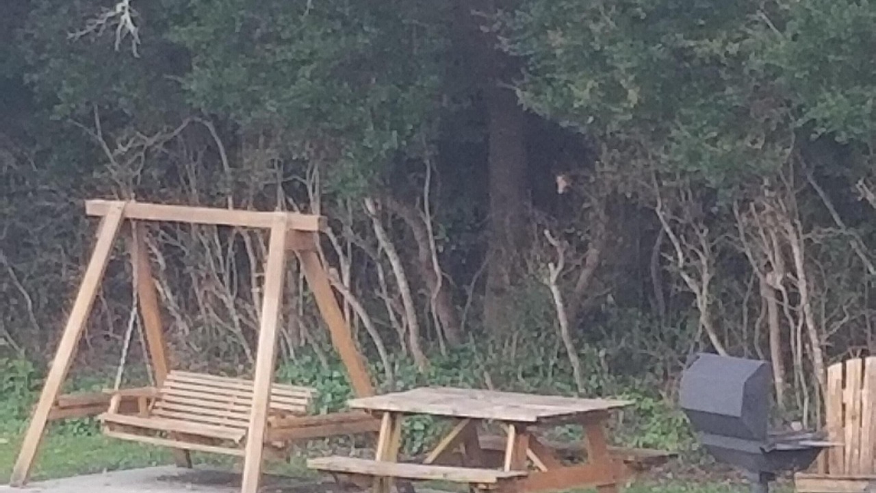 Photo of Outdoor in Atlantic Beach
