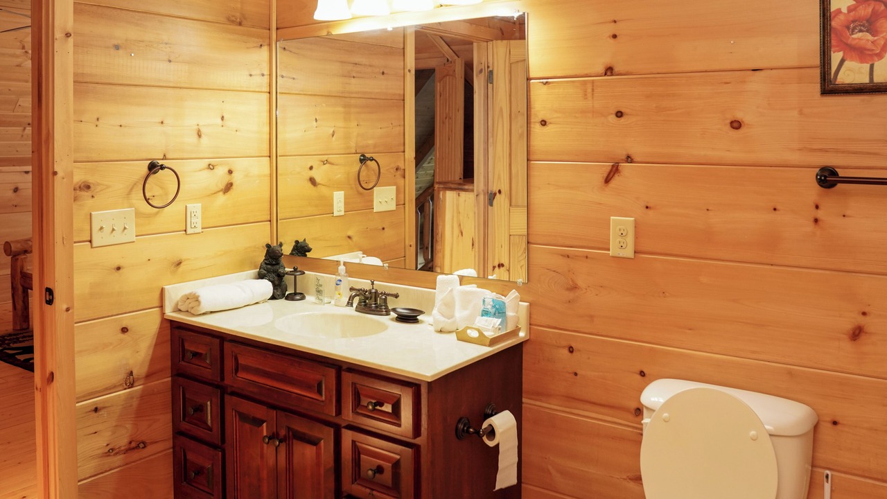 Photo of Bathroom in Dobson