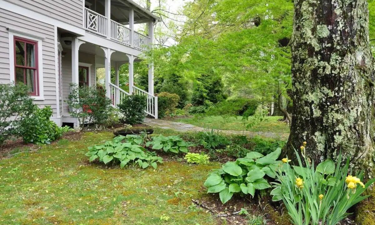 Photo of Outdoor in Saluda