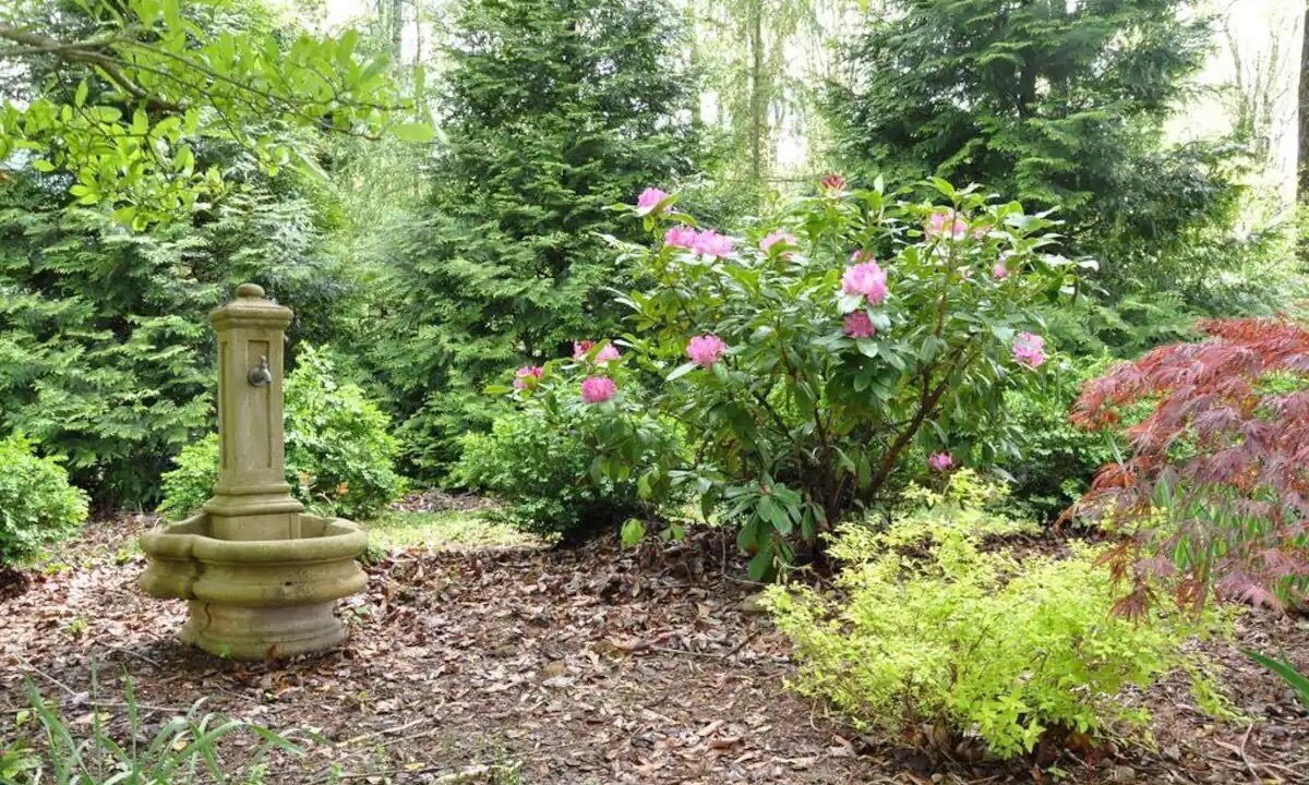 Photo of Outdoor in Saluda