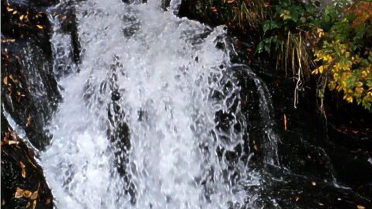 Photo of Others in Nantahala