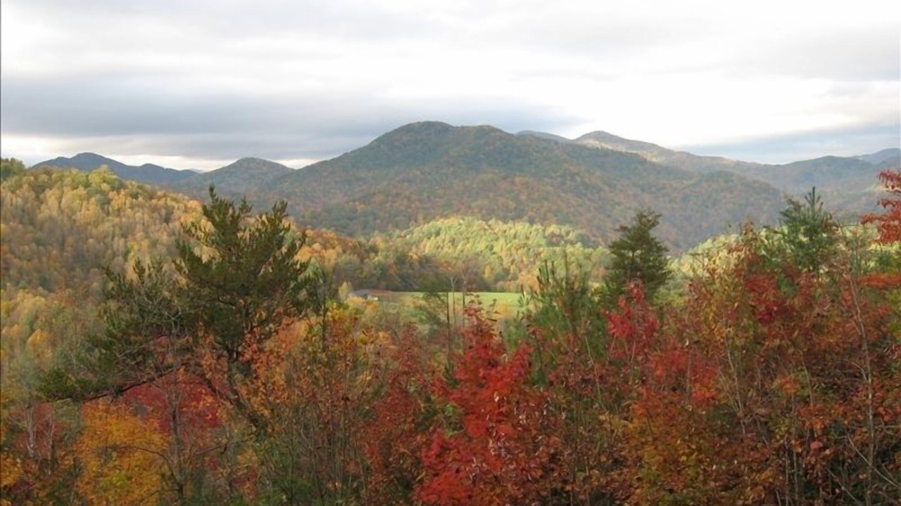 Photo of Others in Nantahala