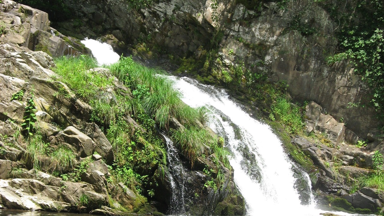 Photo of Others in Nantahala