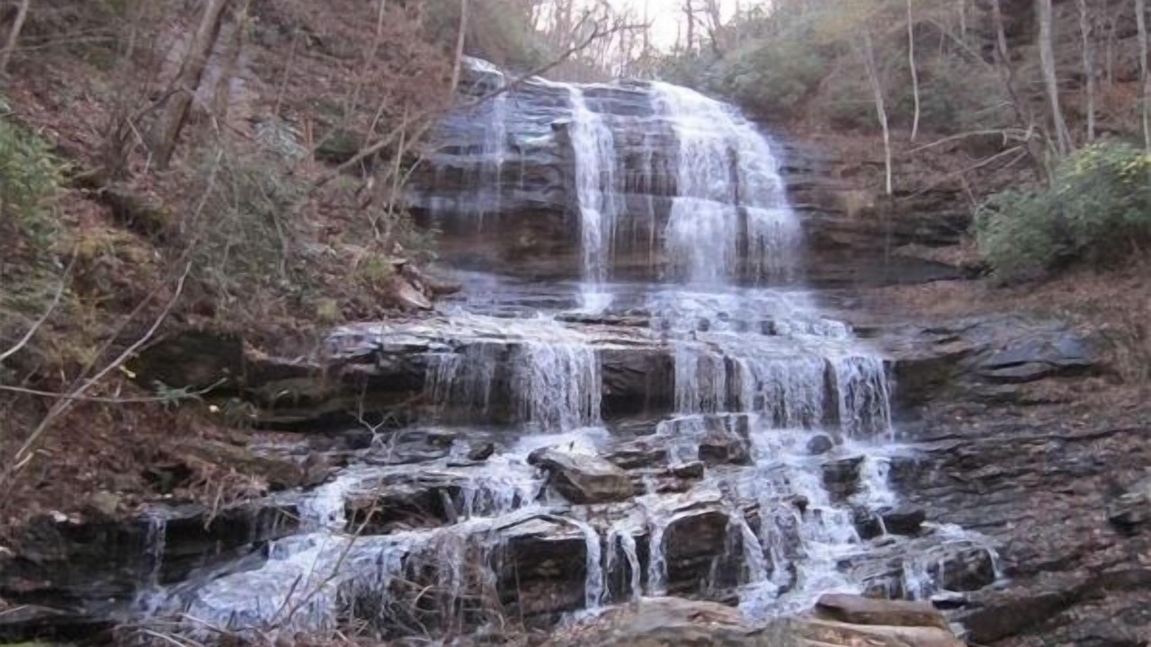 Photo of Others in Saluda