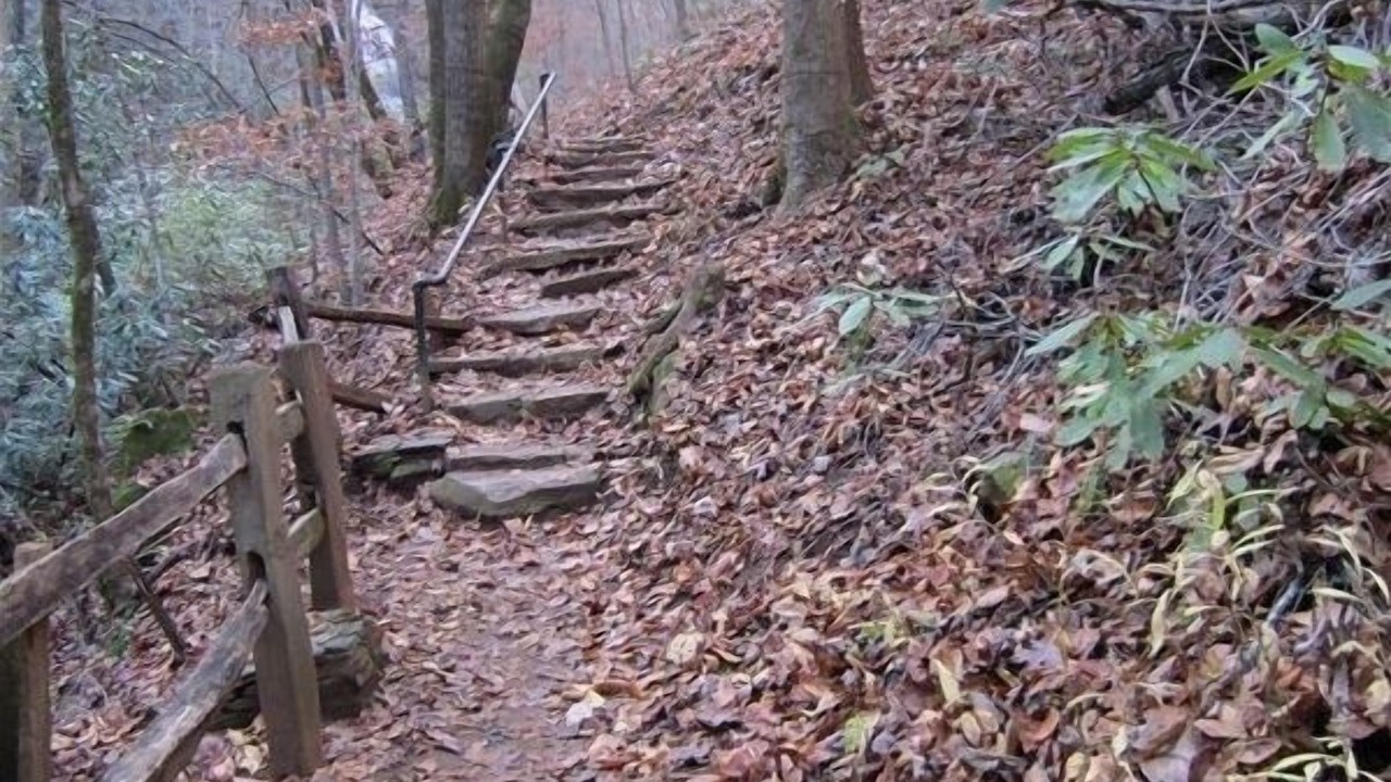 Photo of Others in Saluda