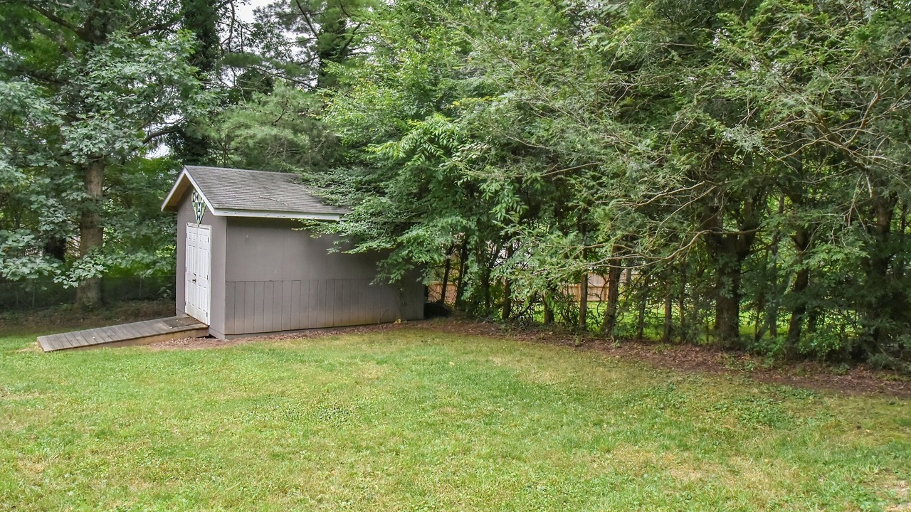 Photo of Outdoor in Black Mountain