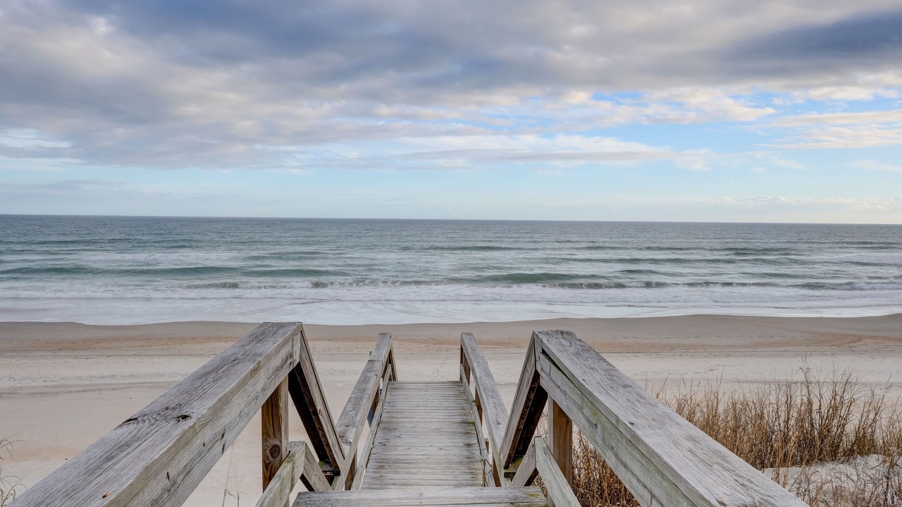 Photo of Others in Surf City