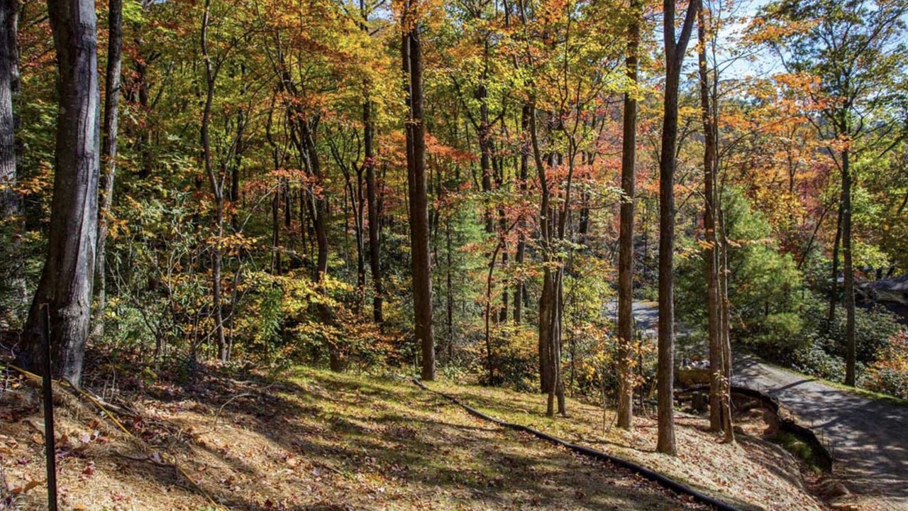 Photo of Others in Black Mountain