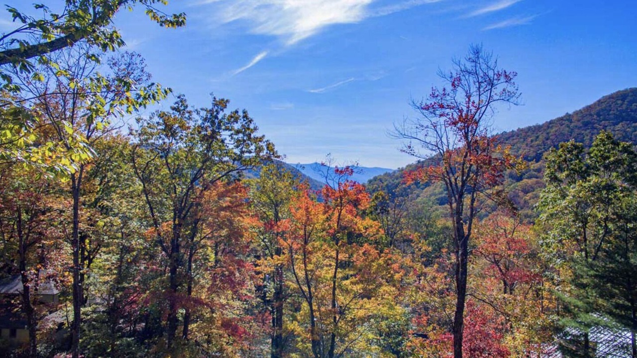 Photo of Others in Black Mountain