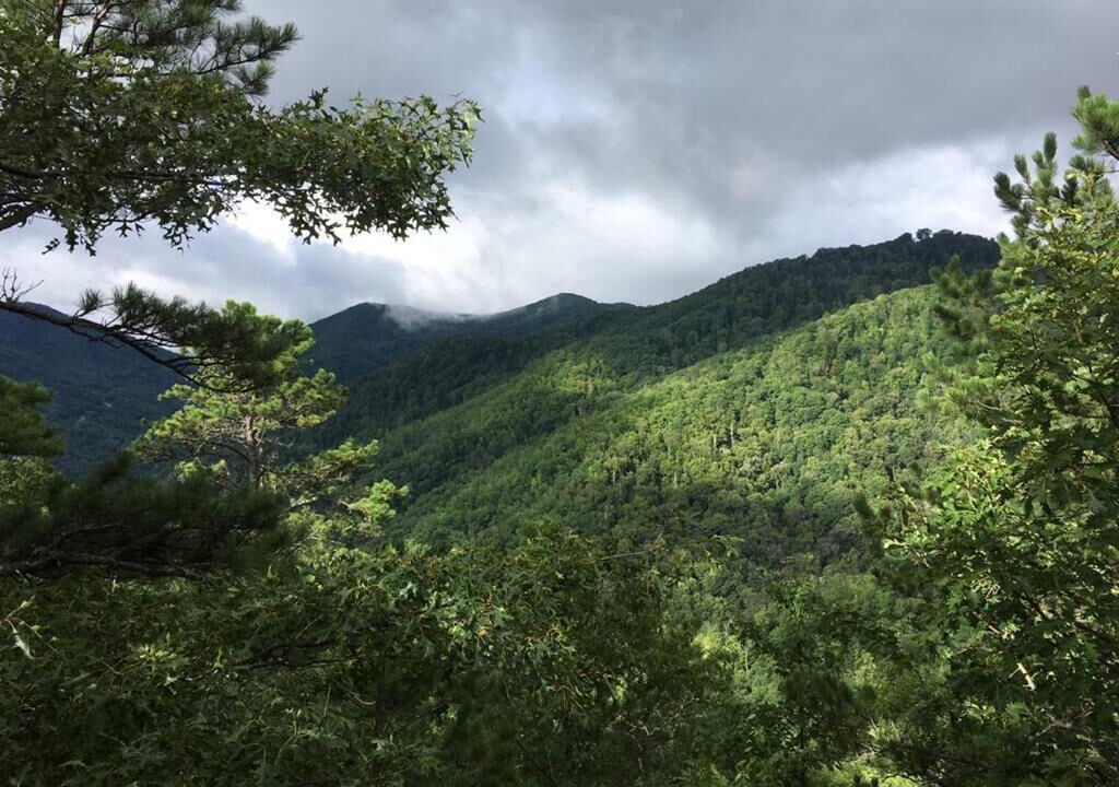 Photo of Others in Sheepback Mountain Estates