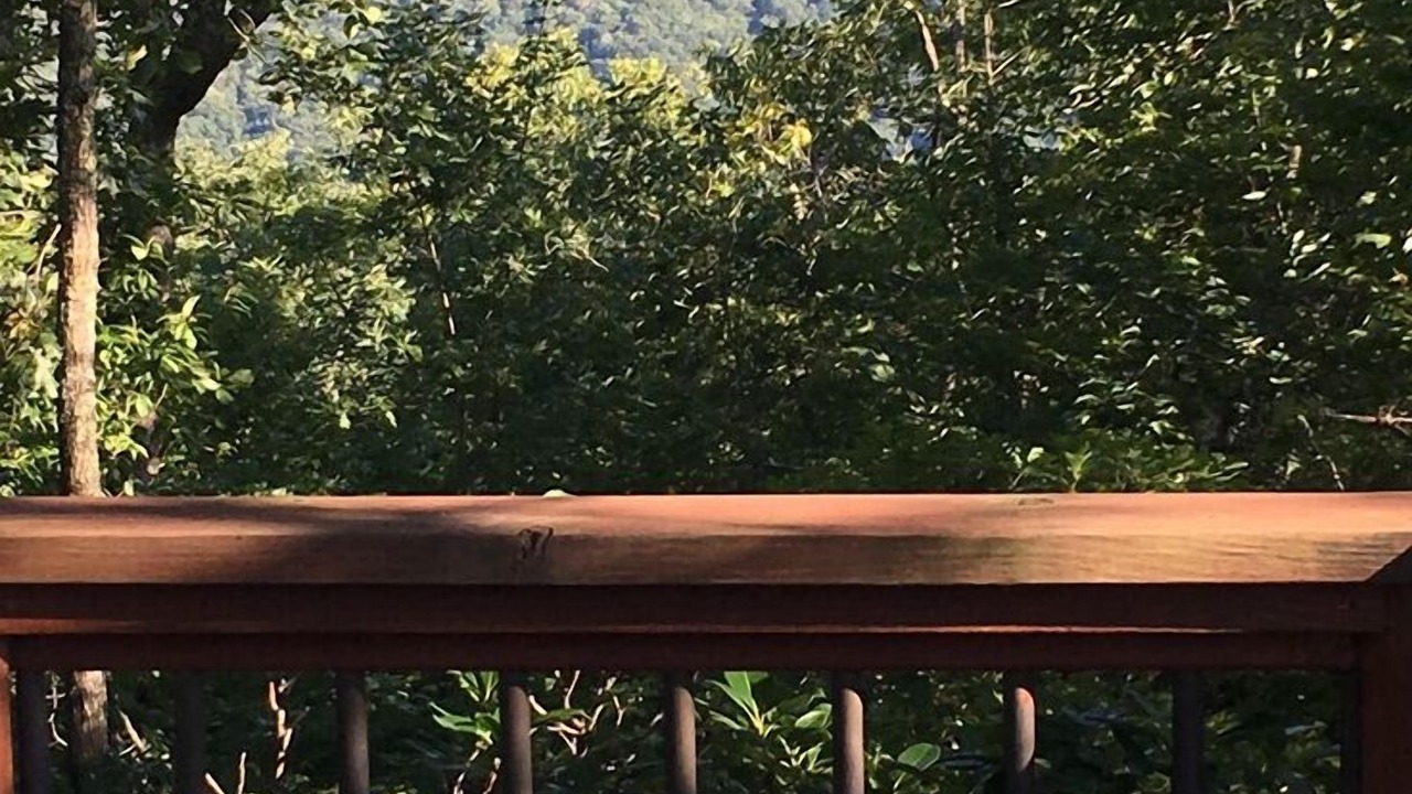Photo of Others in Sheepback Mountain Estates