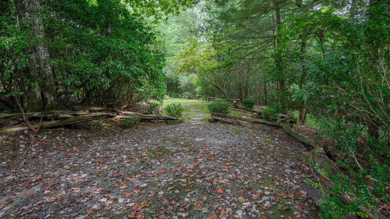 Photo of Outdoor in Pisgah Forest