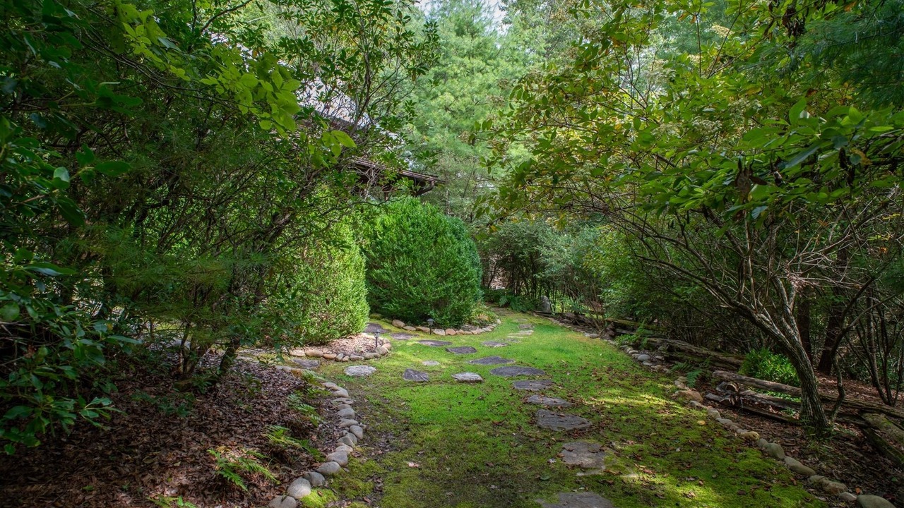 Photo of Outdoor in Pisgah Forest