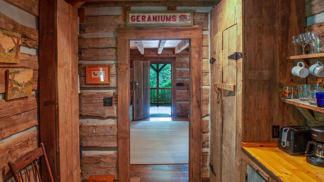 Photo of Others in Pisgah Forest