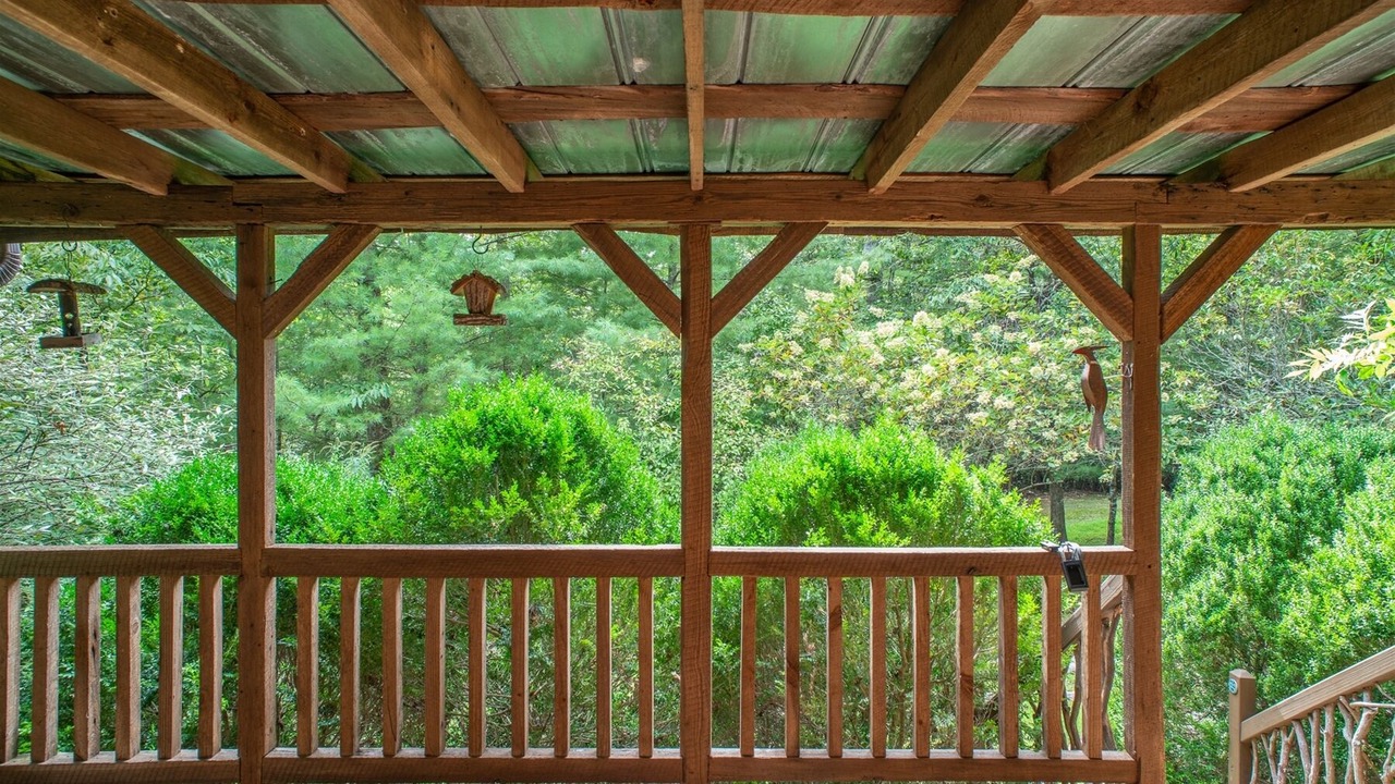 Photo of Outdoor in Pisgah Forest