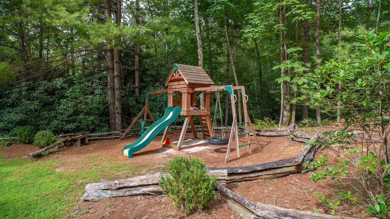 Photo of Others in Pisgah Forest