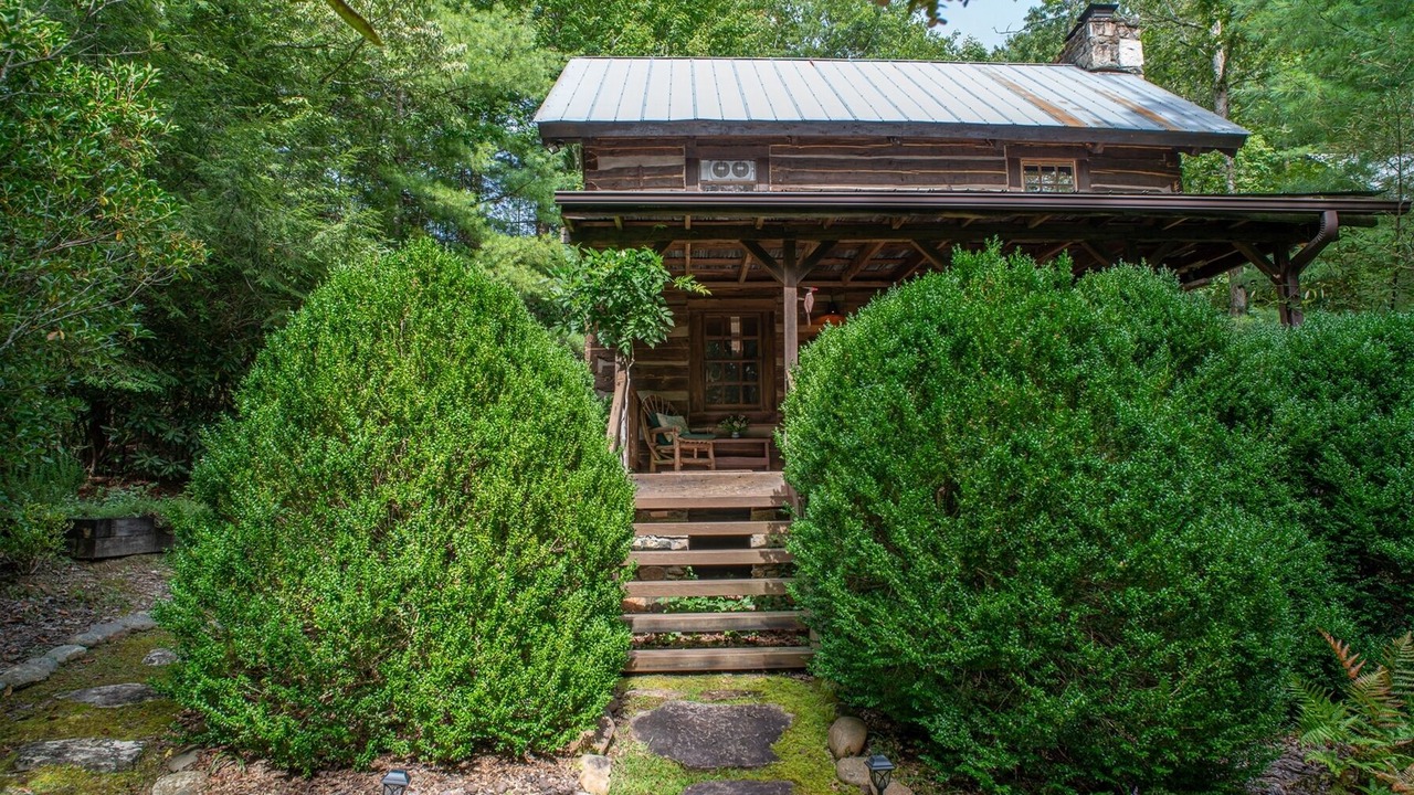 Photo of Outdoor in Pisgah Forest