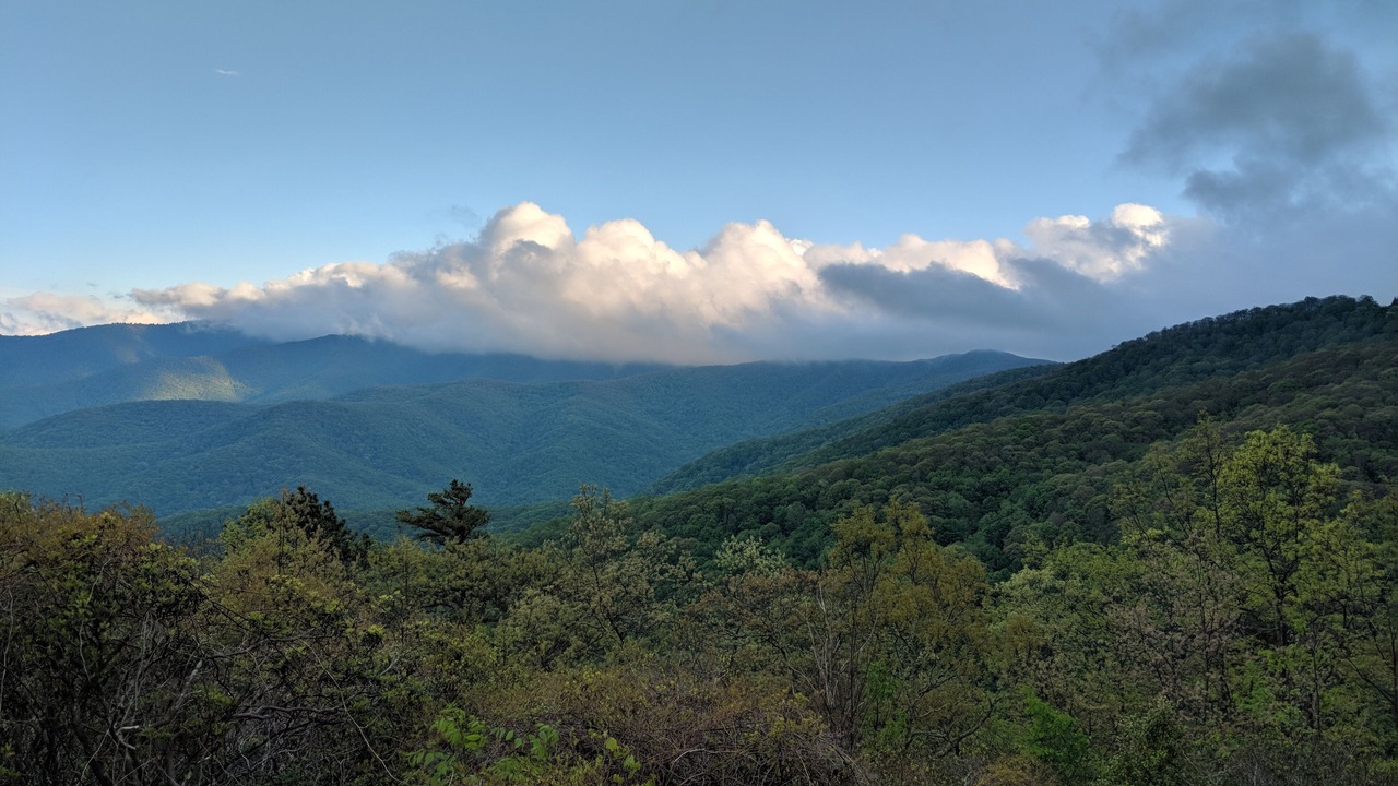 Photo of Others in Lake Toxaway