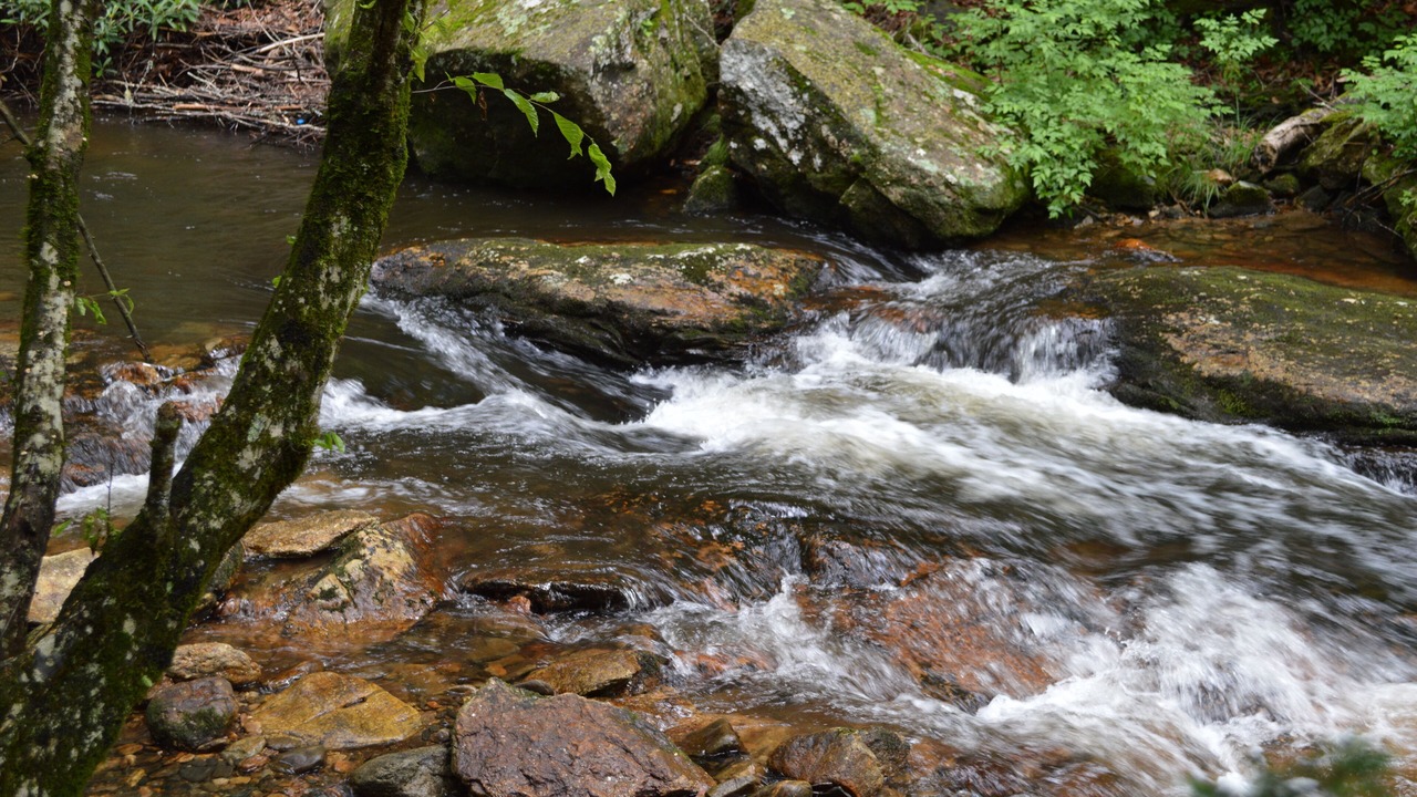 Photo of Others in Lake Toxaway