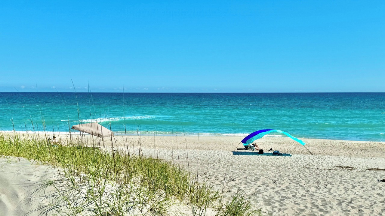 Photo of Others in Atlantic Beach