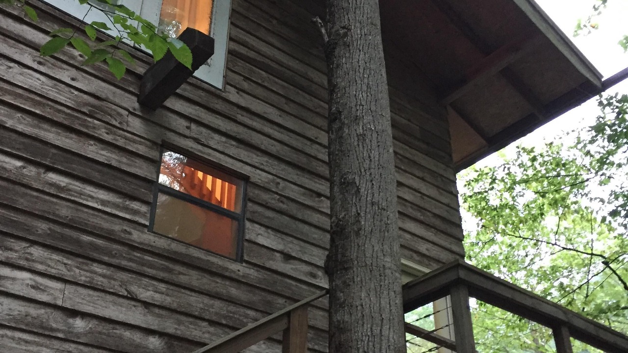 Photo of Others in Bryson City