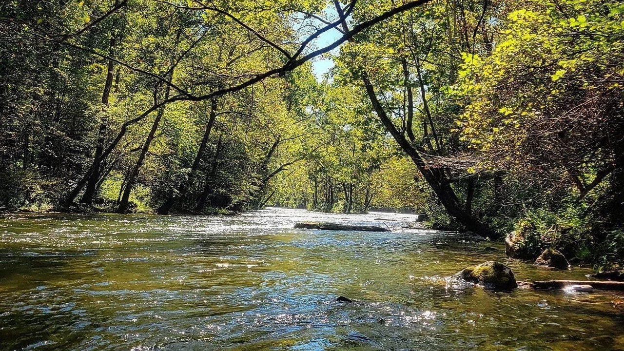 Photo of Others in Bryson City