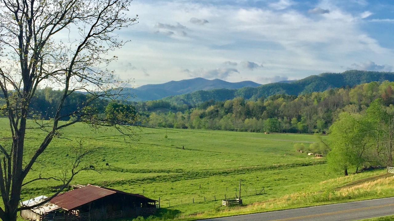 Photo of Outdoor in Franklin