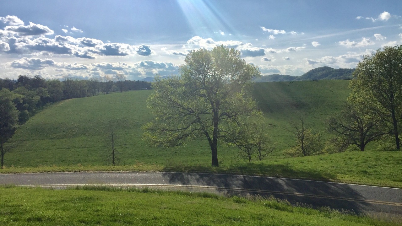 Photo of Outdoor in Franklin