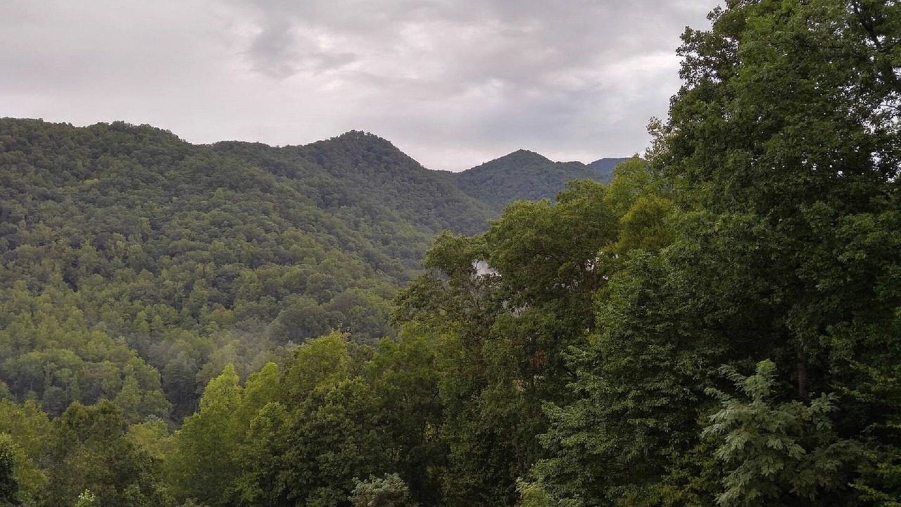 Photo of Others in Barnardsville