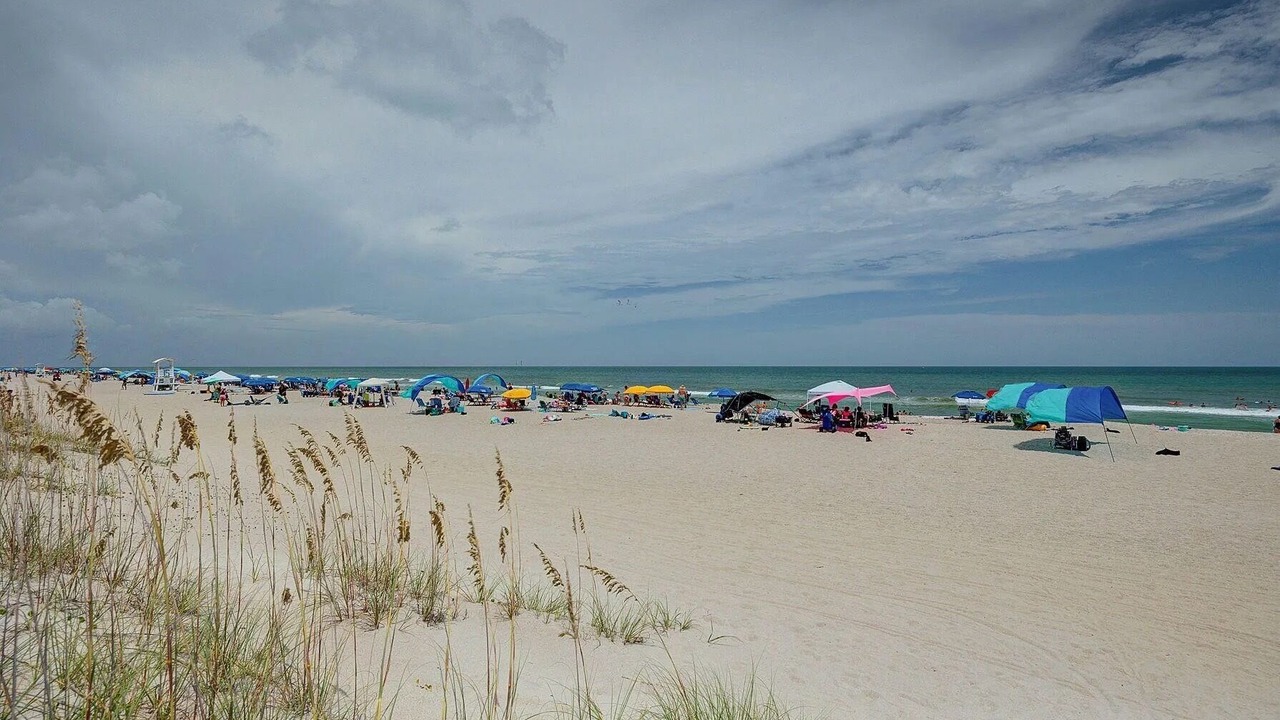 Photo of Others in Carolina Beach