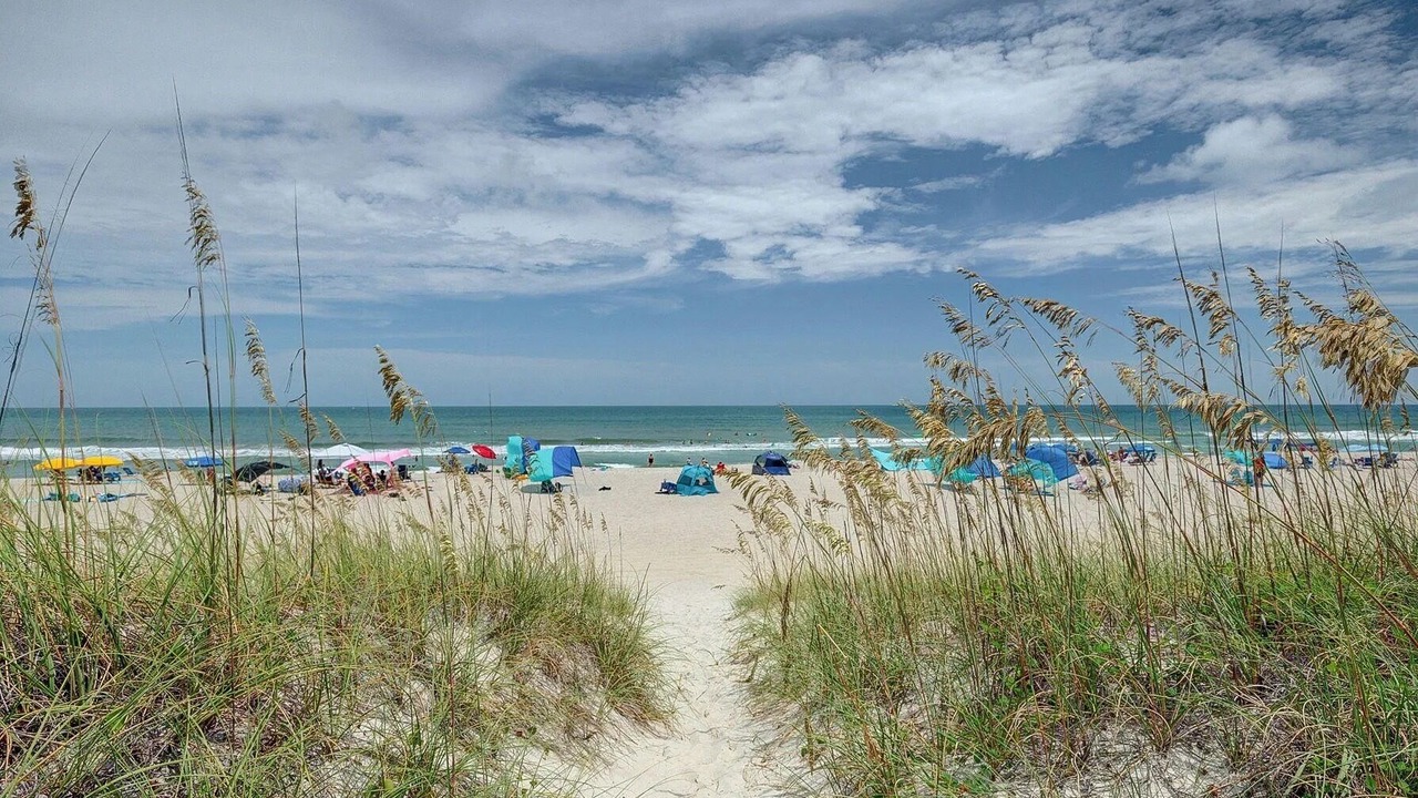 Photo of Others in Carolina Beach