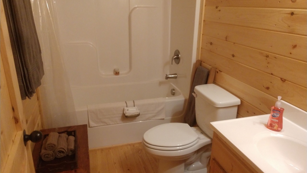 Photo of Bathroom in Mills River