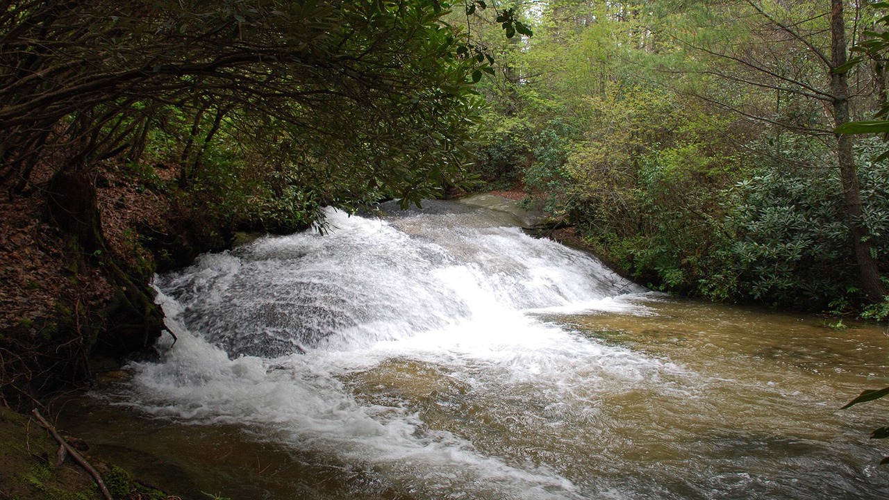 Photo of Others in Cedar Mountain