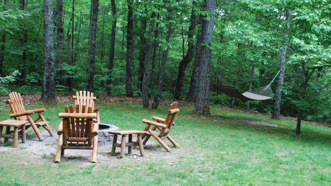 Photo of Others in Cedar Mountain