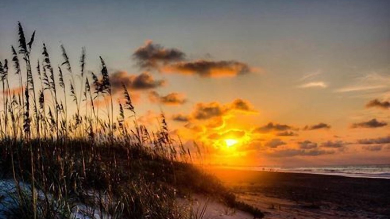 Photo of Others in Emerald Isle