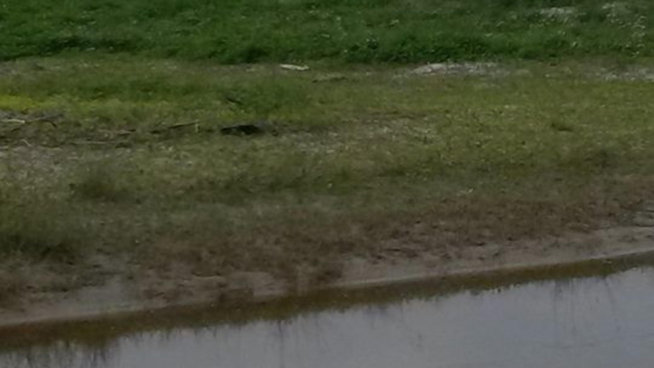 Photo of Others in Emerald Isle