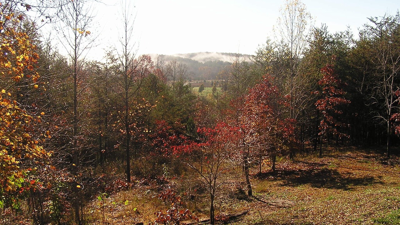 Photo of Outdoor in Rutherfordton