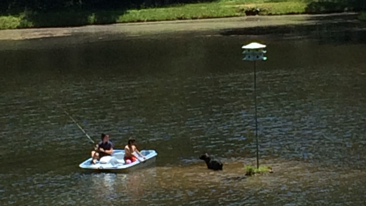 Photo of Outdoor in Arden