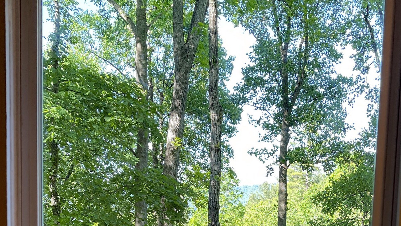 Photo of Others in Asheville