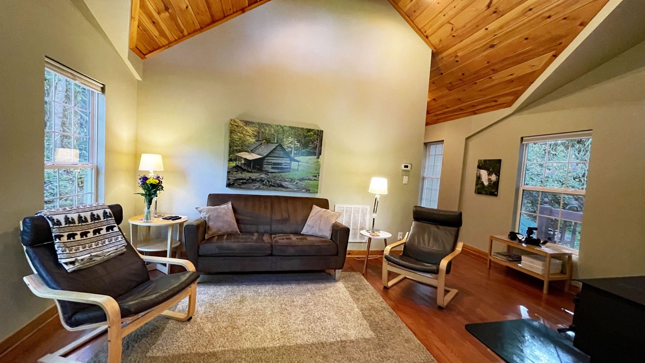 Photo of Livingroom in Asheville