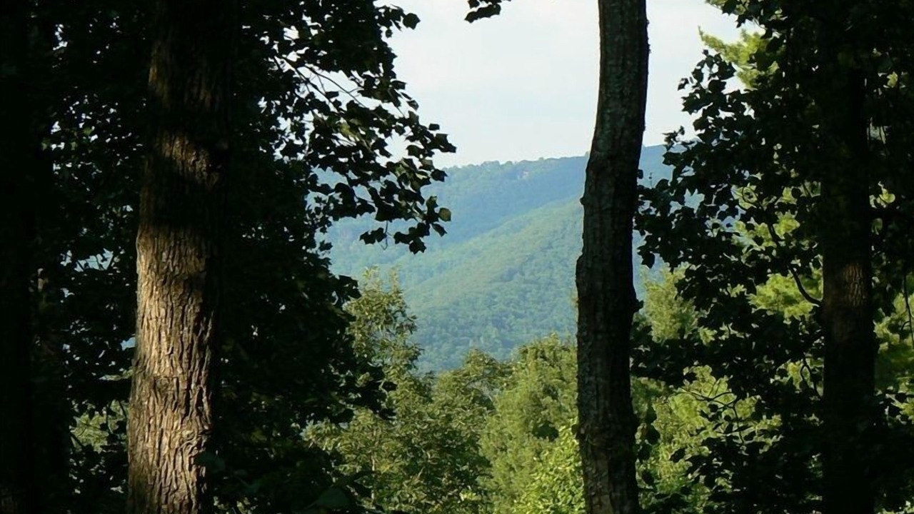 Photo of Others in Asheville