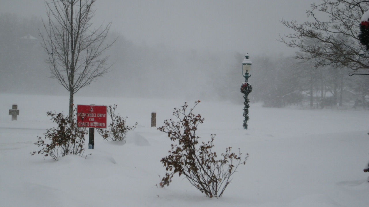 Photo of Others in Beech Mountain